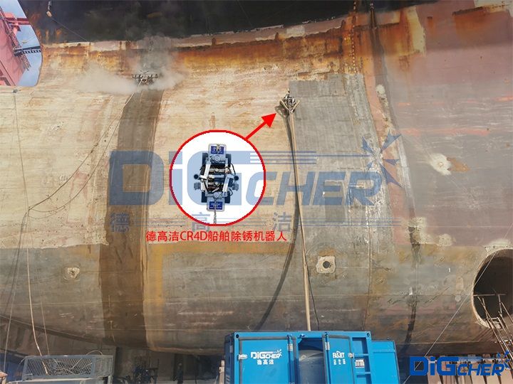 �������P��ʾ