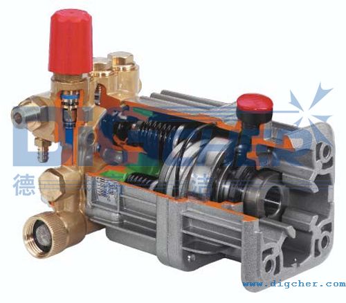 �~�Ͻ����S��������